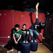 Birdstriking - List pictures