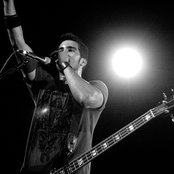 Digital Summer - List pictures