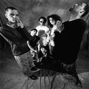 Screaming Headless Torsos - List pictures