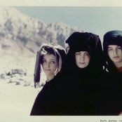 Slits - List pictures