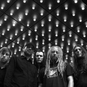 Cold - List pictures