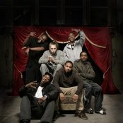 Roll Deep - List pictures