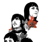Ladytron - List pictures