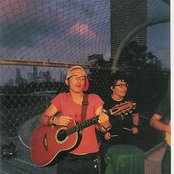 Rosa - List pictures