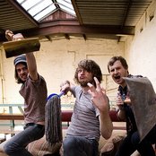 Dinosaur Pile-up - List pictures