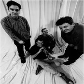 Ten Foot Pole - List pictures