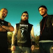 Buffalo - List pictures