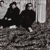 Doves - List pictures