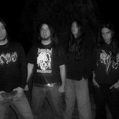 Disgorge - List pictures