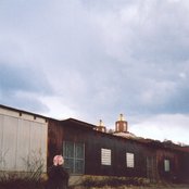 Tobacco - List pictures