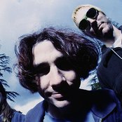 Primus - List pictures