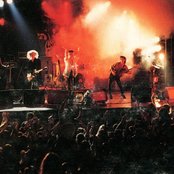 Immaculate Fools - List pictures