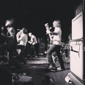 Toothgrinder - List pictures