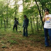 Sigh - List pictures