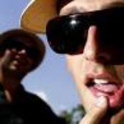 Nôze - List pictures