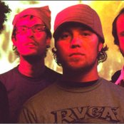 Rogue Wave - List pictures