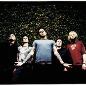 Adena - List pictures