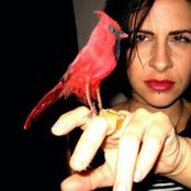 Correatown - List pictures