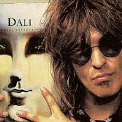 Dogs Damour - List pictures