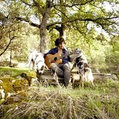 Robert Francis - List pictures