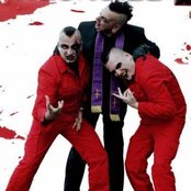 Agonoize - List pictures