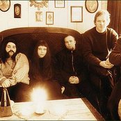 White Willow - List pictures