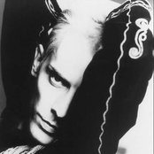 Peter Murphy - List pictures