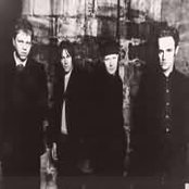 Gene - List pictures