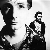 Stereolab - List pictures