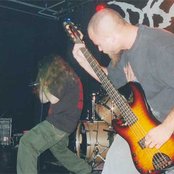 Disgorge - List pictures