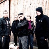 Broilers - List pictures