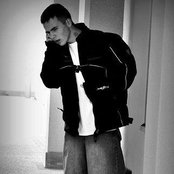 Malina - List pictures