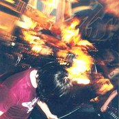 Avery - List pictures