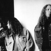 Pungent Stench - List pictures