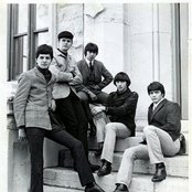 The Buckinghams - List pictures