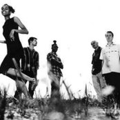 Red Snapper - List pictures