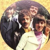 Marmalade - List pictures