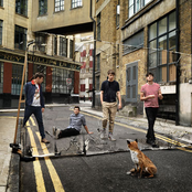 Everything Everything - List pictures