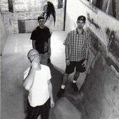 Crashdog - List pictures