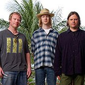 The Thorns - List pictures