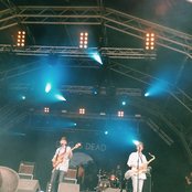 Dog Is Dead - List pictures