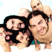 Genitallica - List pictures