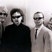 Gary Wilson - List pictures