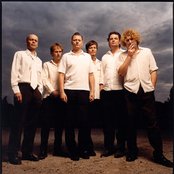 Weeping Willows - List pictures