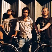 Beak> - List pictures