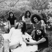 Cervello - List pictures