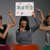 Chat Monchy - List pictures