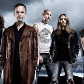 Falconer - List pictures