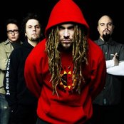 Sub-urban Tribe - List pictures