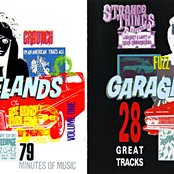 White Light - List pictures